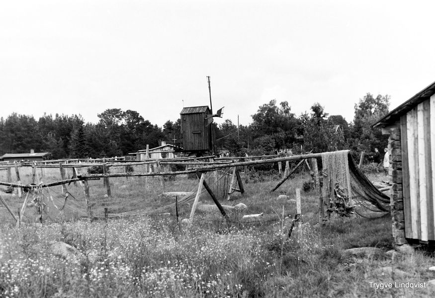 Såghagen 1968–69, med nät på torkställningar och kvarn i bakgrunden